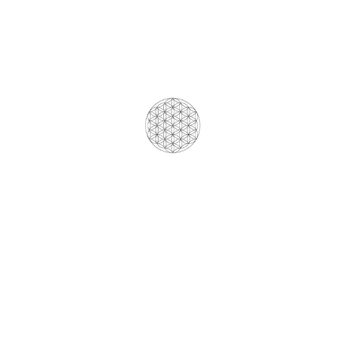 JournalfulLife